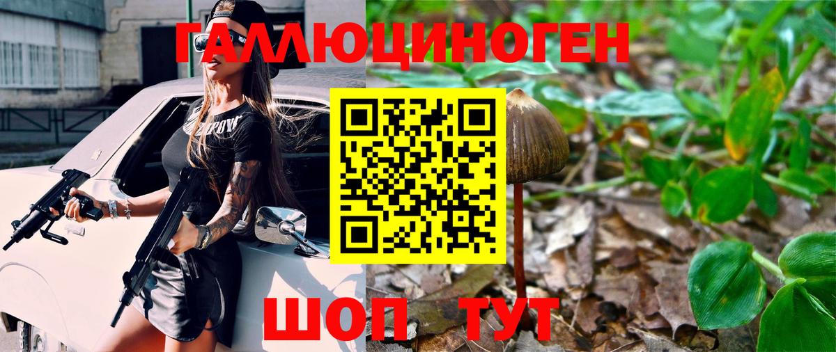 Псилоцибиновые грибы прущие грибы Дмитров